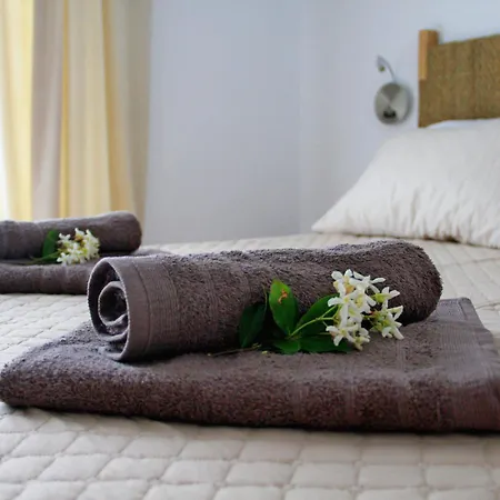 빌라 Dana 익시아